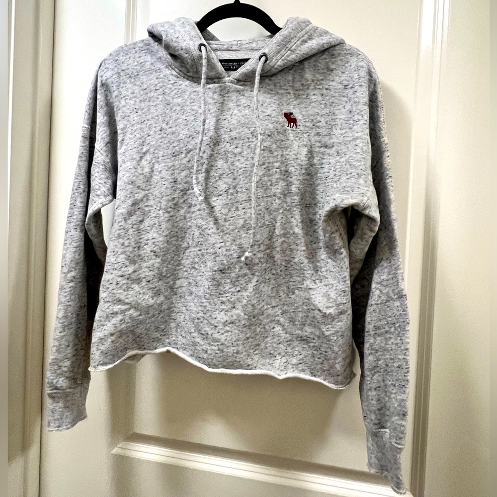 Abercrombie & Fitch Women's Hoodie Gray Size XS